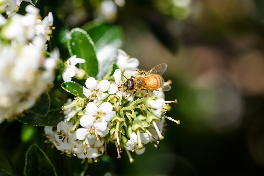 Tworzenie harmonijnego miejsca dla pszczół w przydomowym ogrodzie