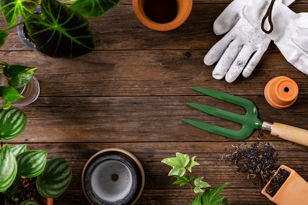Tworzenie domowego warzywnika – poradnik dla początkujących