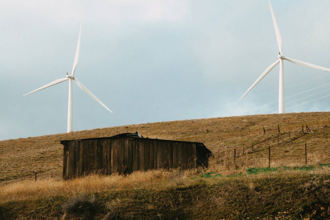 Czy domowe elektrownie wiatrowe to przyszłość ekologicznego gospodarstwa?