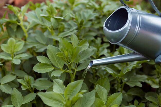 Jak inteligentne systemy nawadniające mogą poprawić wydajność upraw w ogrodzie?