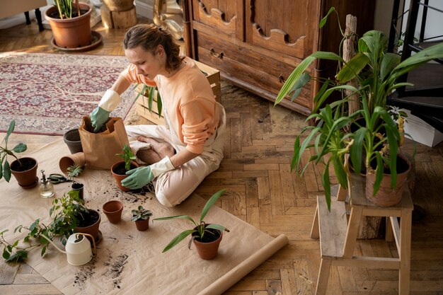Jak efektywnie wykorzystać mini szklarnie do tworzenia zielonego zakątka w naszym domu?